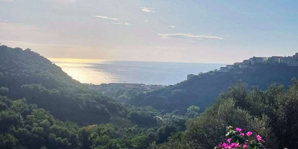 casa indipendente in vendita a Belvedere Marittimo