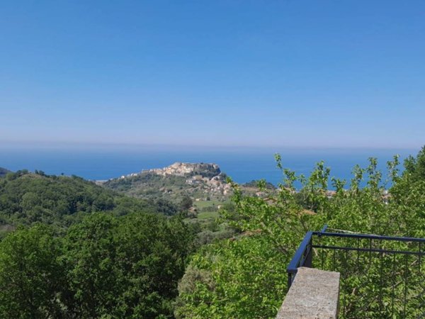 casa indipendente in vendita a Belvedere Marittimo