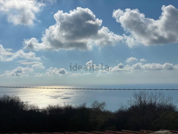 appartamento in vendita a Belvedere Marittimo