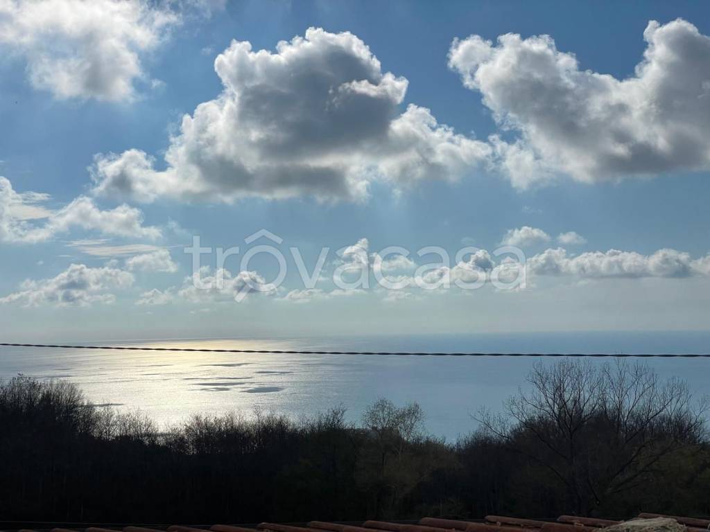 appartamento in vendita a Belvedere Marittimo