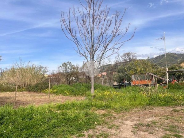 casale in vendita a Belvedere Marittimo