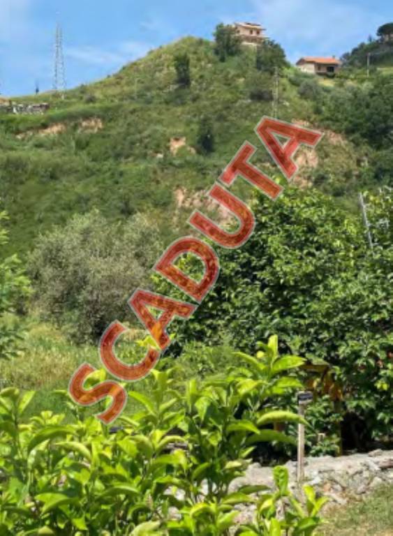 terreno agricolo in vendita a Belvedere Marittimo