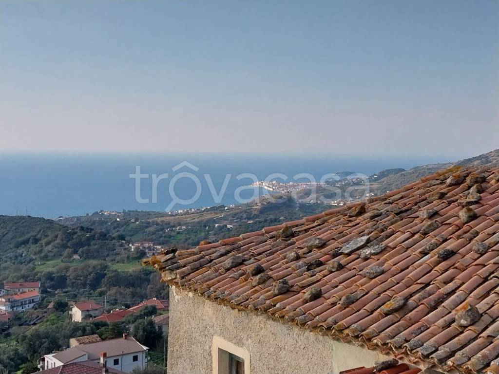 casa indipendente in vendita a Belvedere Marittimo