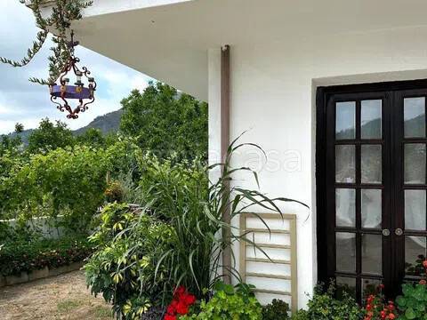 casa indipendente in vendita a Belvedere Marittimo