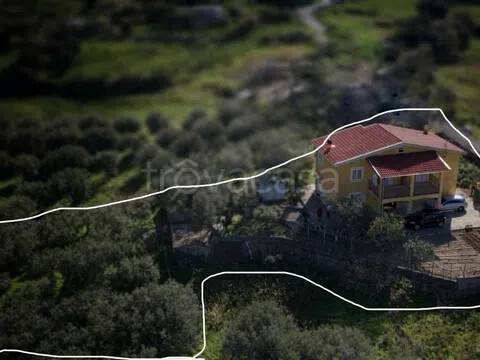 casa indipendente in vendita a Belvedere Marittimo