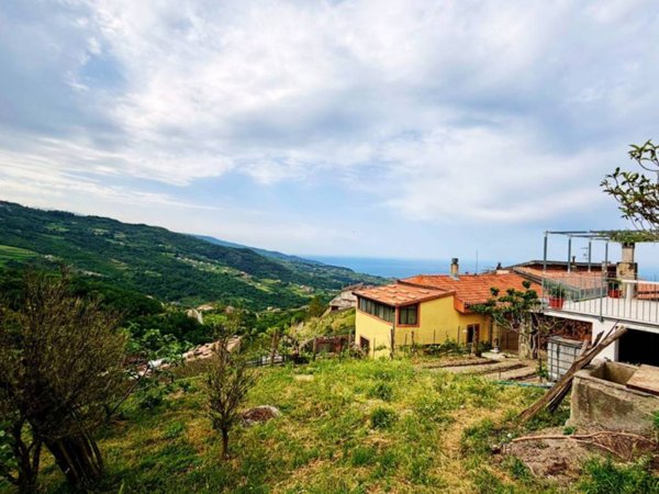 casa indipendente in vendita a Belvedere Marittimo