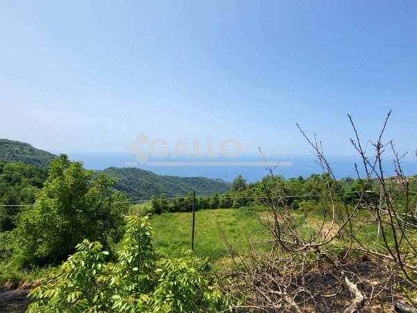 pentavano in vendita a Belvedere Marittimo