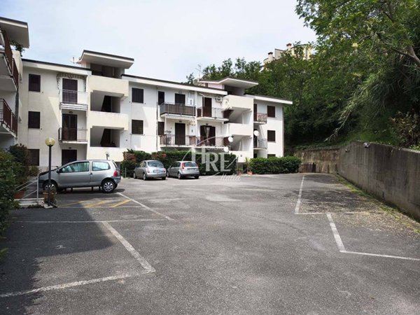 appartamento in vendita a Belvedere Marittimo