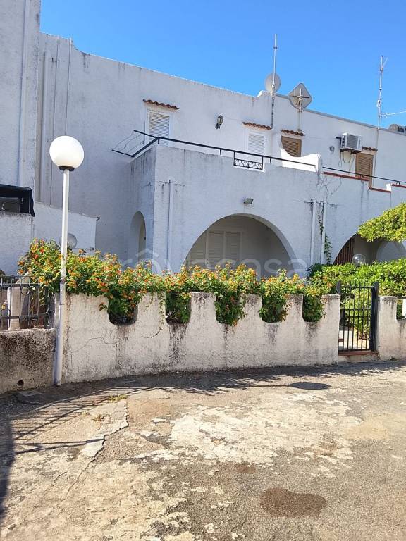 casa indipendente in vendita a Belvedere Marittimo