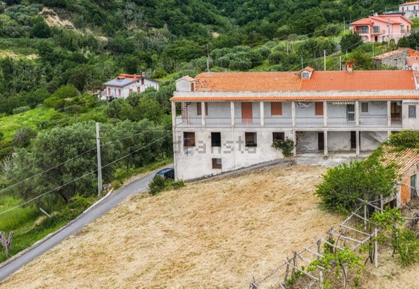 casa indipendente in vendita a Belvedere Marittimo