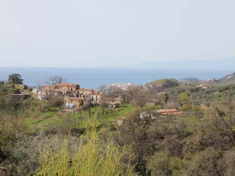 terreno agricolo in vendita a Belvedere Marittimo