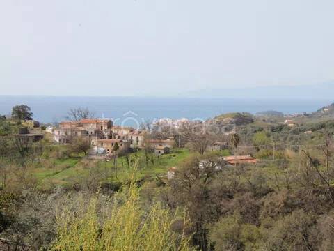 terreno agricolo in vendita a Belvedere Marittimo