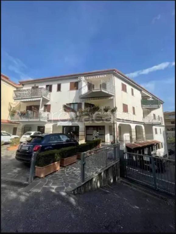 appartamento in vendita a Belvedere Marittimo