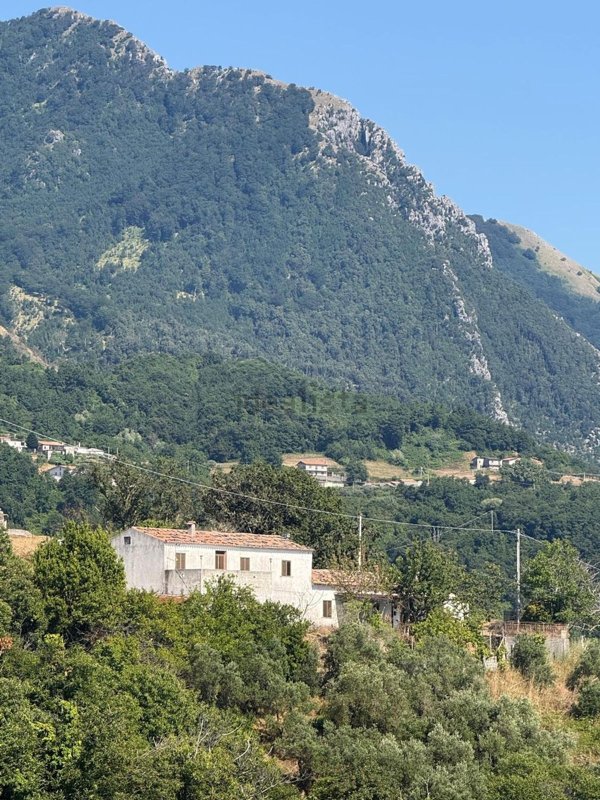 casa indipendente in vendita a Belvedere Marittimo