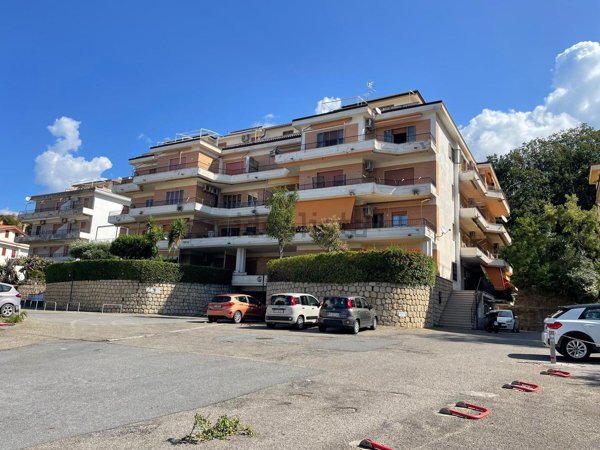appartamento in vendita a Belvedere Marittimo