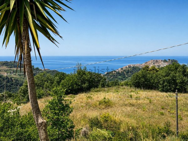 terreno in vendita a Belvedere Marittimo
