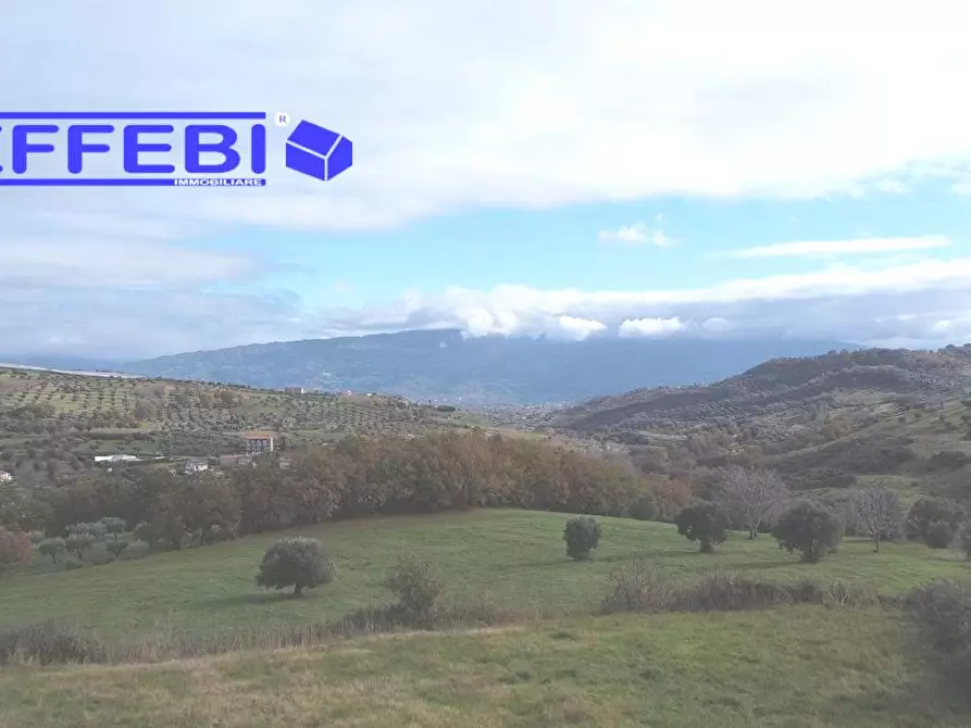 terreno agricolo in vendita a Bisignano