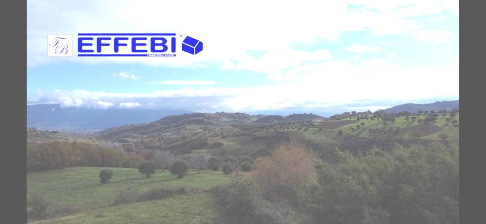 terreno agricolo in vendita a Bisignano