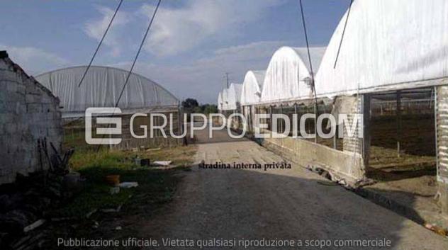 terreno agricolo in vendita a Bisignano