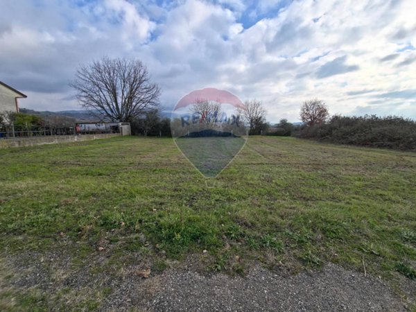 terreno agricolo in vendita a Bisignano