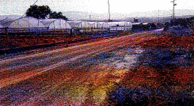 terreno agricolo in vendita a Bisignano