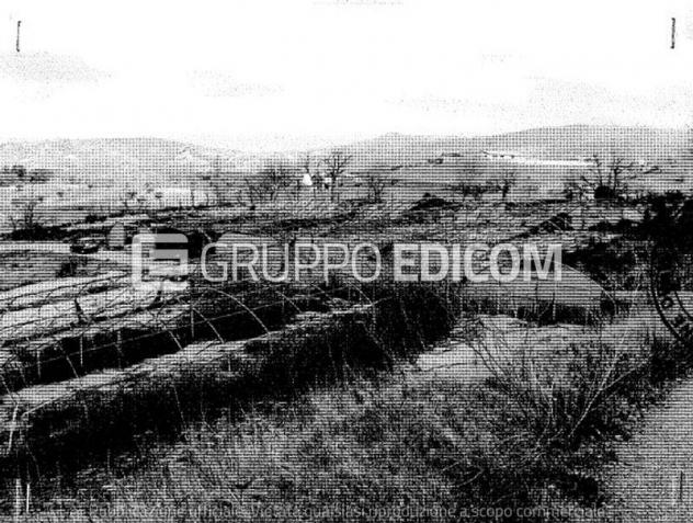 terreno agricolo in vendita a Bisignano