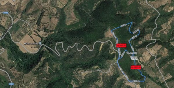 terreno agricolo in vendita a Bisignano