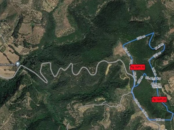 terreno agricolo in vendita a Bisignano