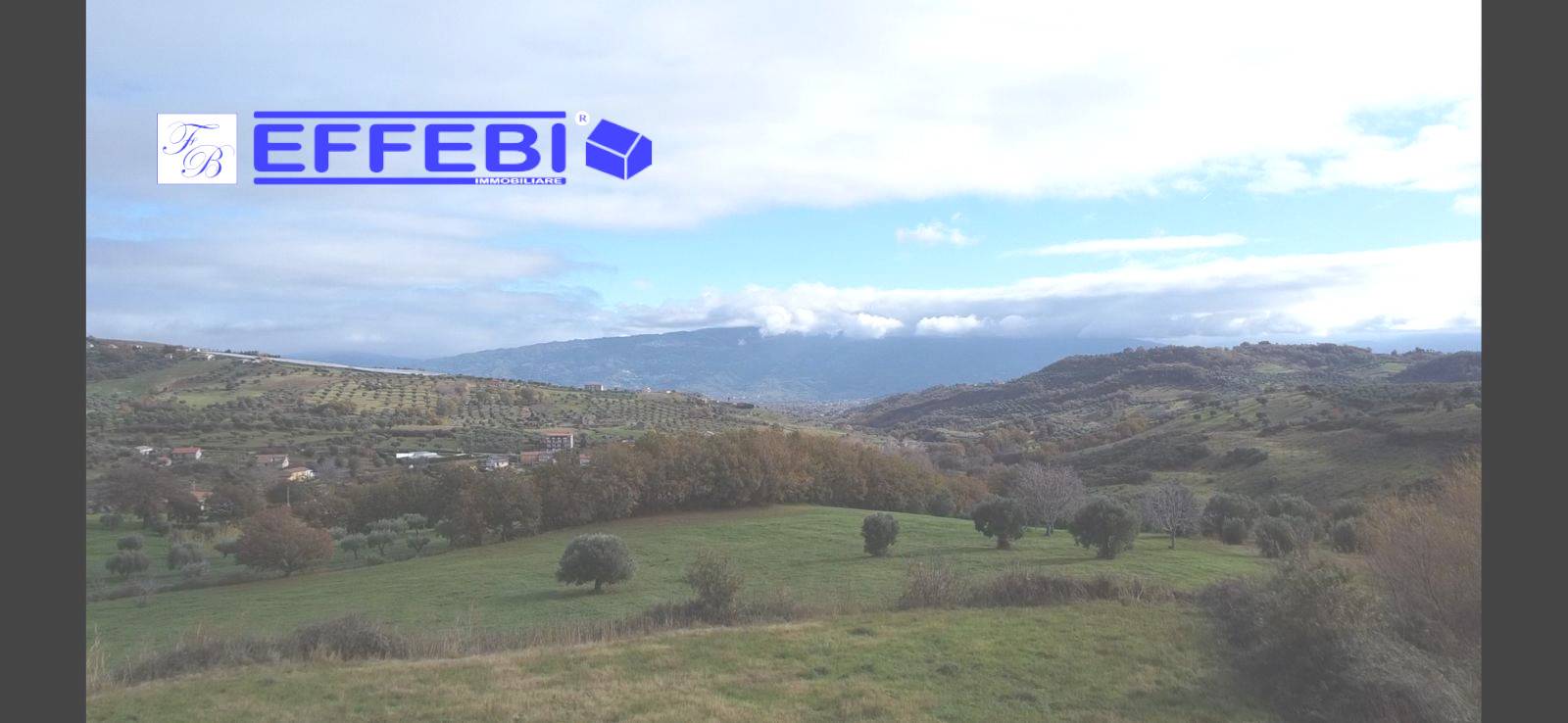 terreno agricolo in vendita a Bisignano