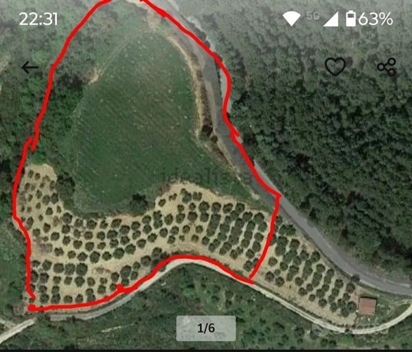 terreno agricolo in vendita a Bisignano