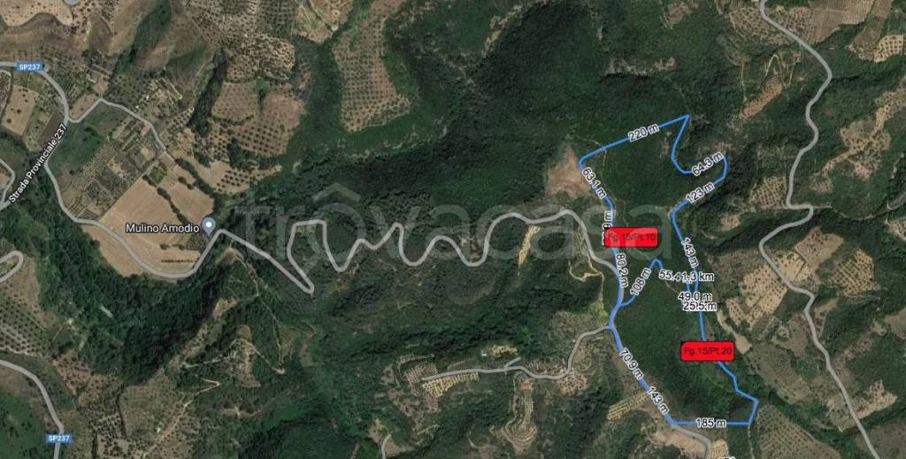 terreno agricolo in vendita a Bisignano