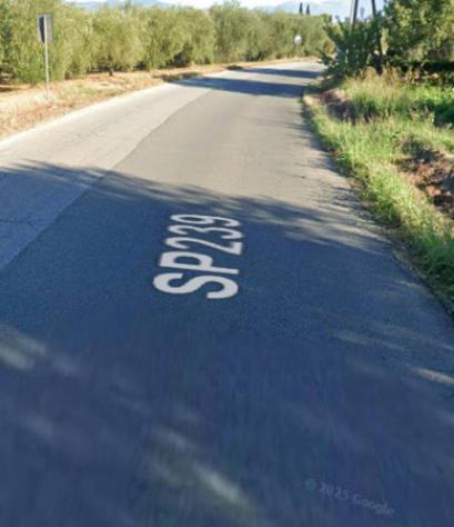 terreno agricolo in vendita a Bisignano