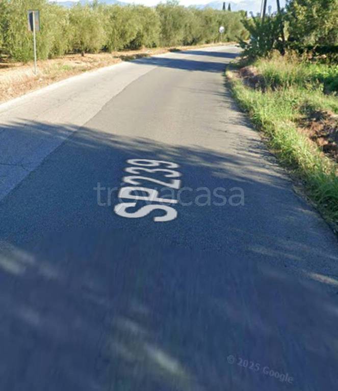 terreno agricolo in vendita a Bisignano