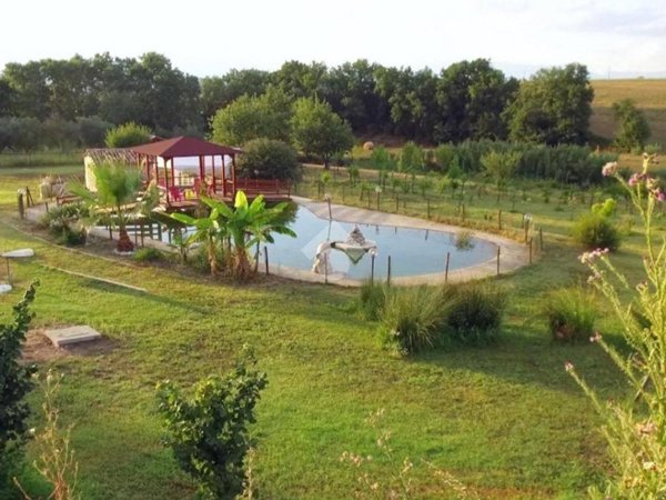 terreno agricolo in vendita a Bisignano