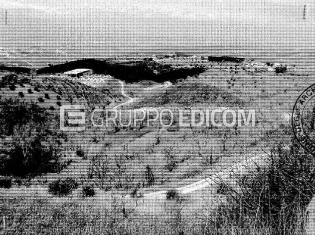 azienda agricola in vendita a Bisignano