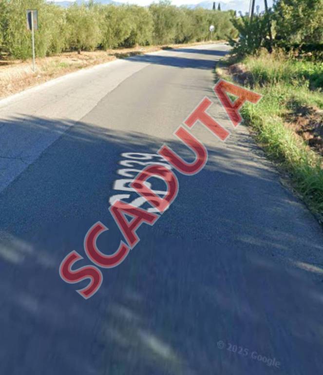 terreno agricolo in vendita a Bisignano