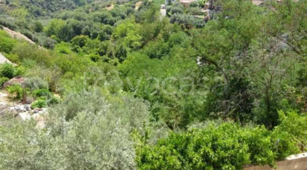 terreno agricolo in vendita a Bisignano
