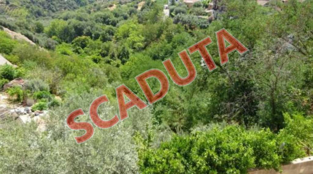 terreno agricolo in vendita a Bisignano