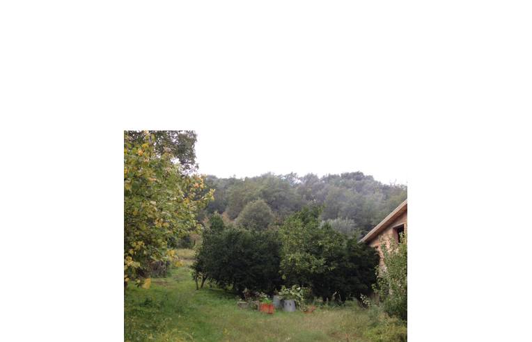 casa indipendente in vendita a Bisignano