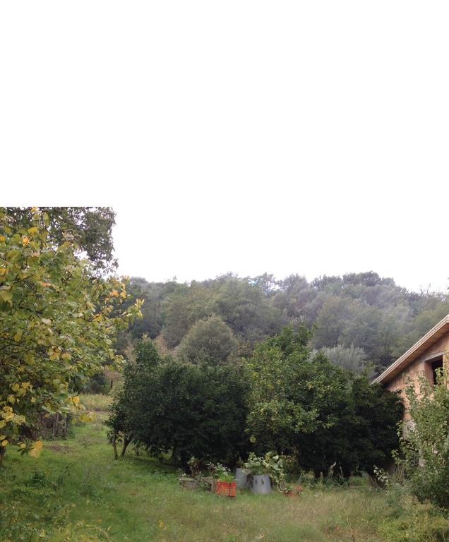 casa indipendente in vendita a Bisignano