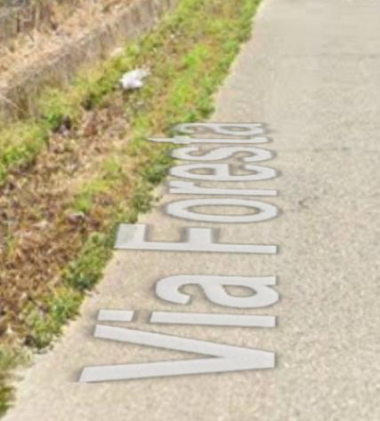 pentavano in vendita a Bisignano