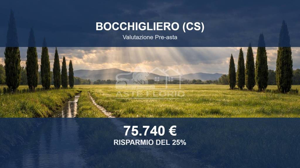 terreno agricolo in vendita a Bocchigliero