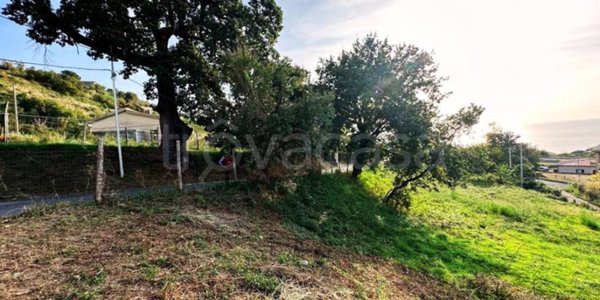 terreno agricolo in vendita a Bonifati in zona Cittadella del Capo
