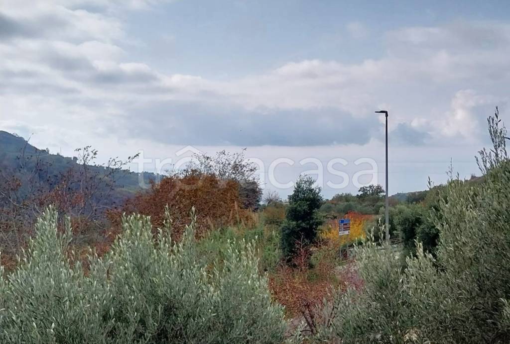 appartamento in vendita a Bonifati