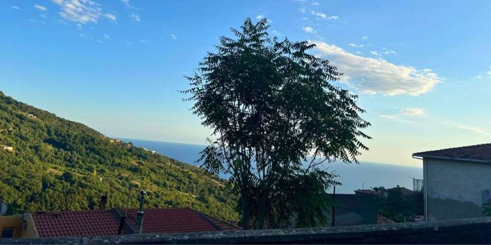 appartamento in vendita a Bonifati in zona San Candido