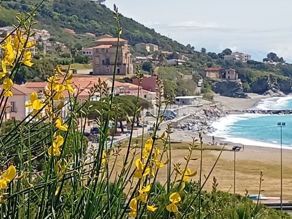 appartamento in vendita a Bonifati in zona Cittadella del Capo