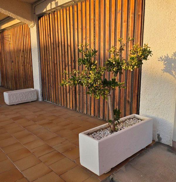 locale di sgombero in vendita a Bonifati in zona Cittadella del Capo