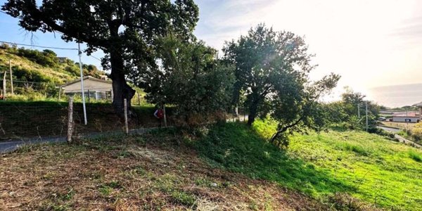 terreno edificabile in vendita a Bonifati in zona Cittadella del Capo
