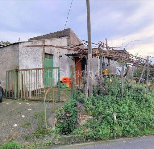 appartamento in vendita a Buonvicino
