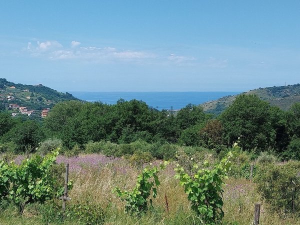 quadrivano in vendita a Buonvicino